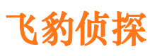 江洲寻人公司